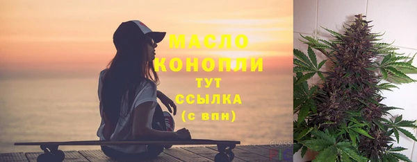 прущая мука Вяземский