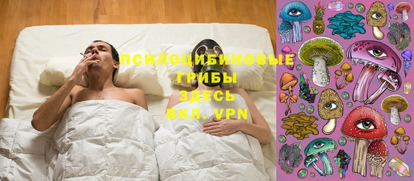 мдма Медвежьегорск