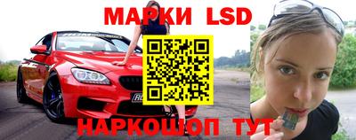 прущие грибы Будённовск