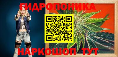 прущие грибы Будённовск