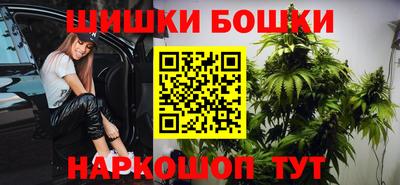 прущие грибы Будённовск