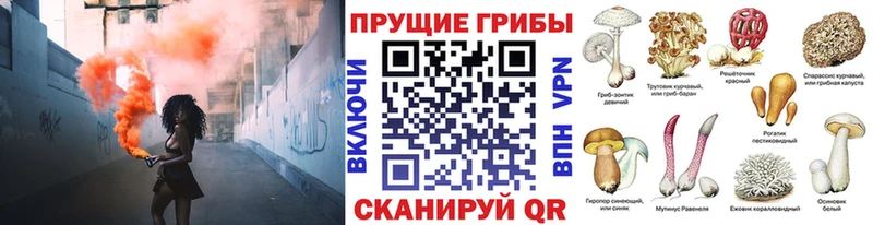 купить наркотик  Дивногорск  Галлюциногенные грибы прущие грибы 