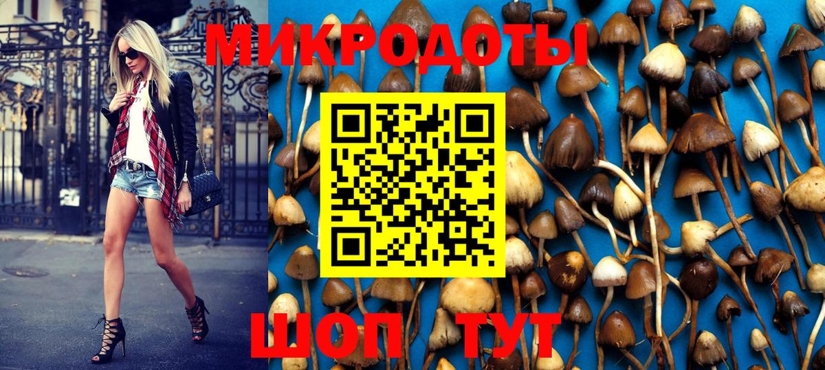 Галлюциногенные грибы Psilocybine cubensis Дивногорск