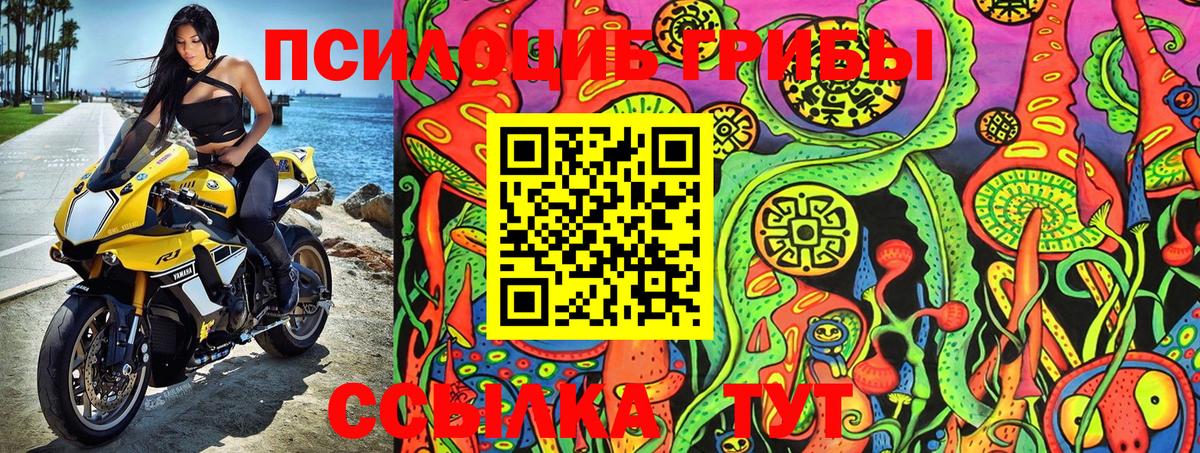 Дивногорск  Псилоцибиновые грибы GOLDEN TEACHER  Псилоцибиновые грибы Psilocybe  Вход с VPN 